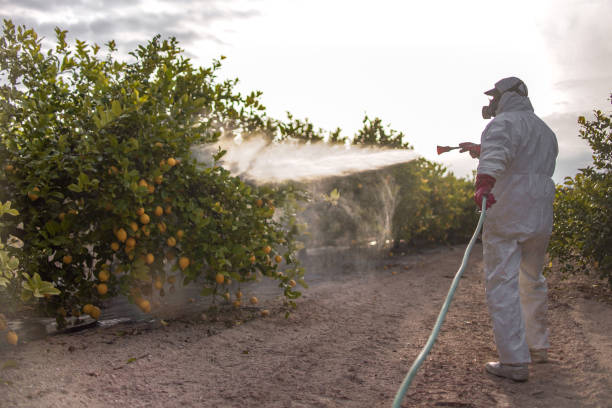 Best Wildlife Control Services  in Shafer, MN