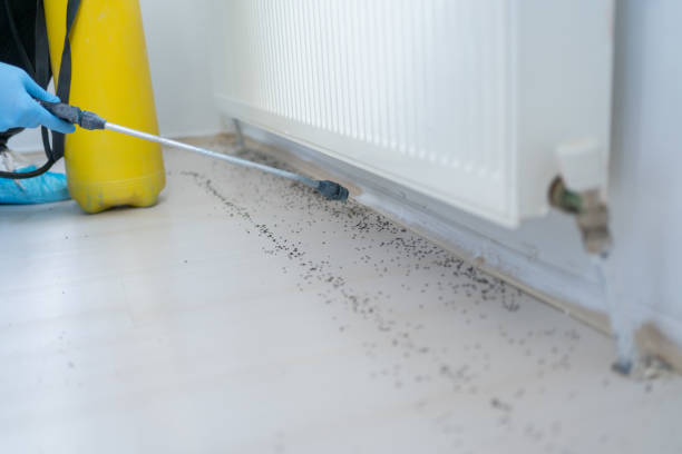 Best Commercial Pest Control Services  in Shafer, MN
